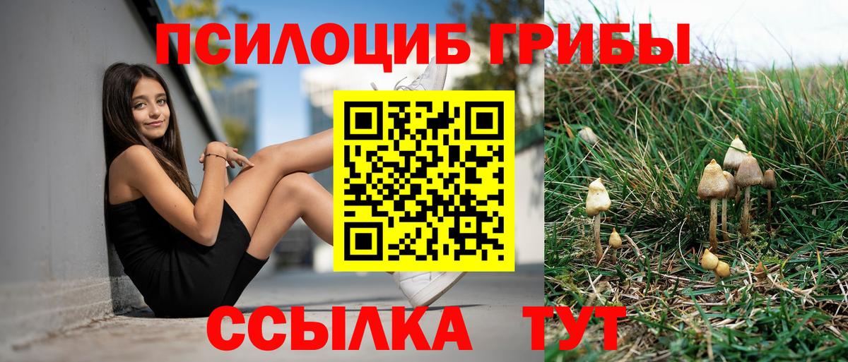 Лабинск  Галлюциногенные грибы GOLDEN TEACHER  Вход с VPN  Псилоцибиновые грибы мицелий 