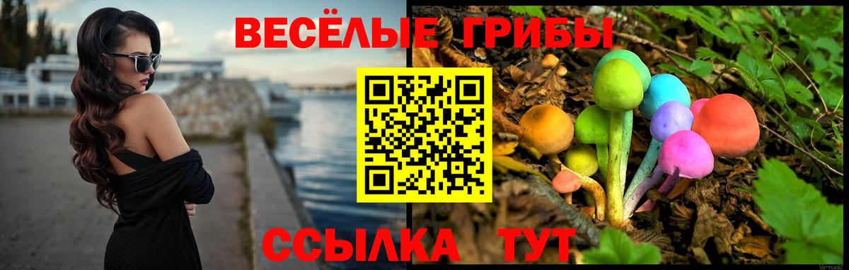 Псилоцибиновые грибы MAGIC MUSHROOMS Лабинск